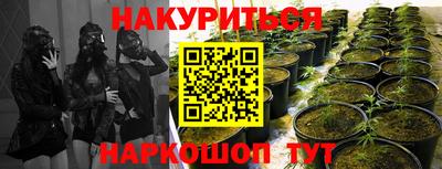 jwh Партизанск