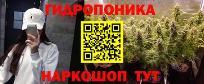jwh Партизанск
