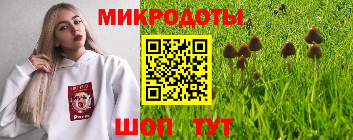 Псилоцибиновые грибы GOLDEN TEACHER Узловая