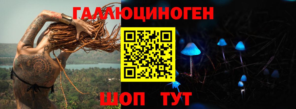Псилоцибиновые грибы MAGIC MUSHROOMS  Вход с VPN  Узловая 